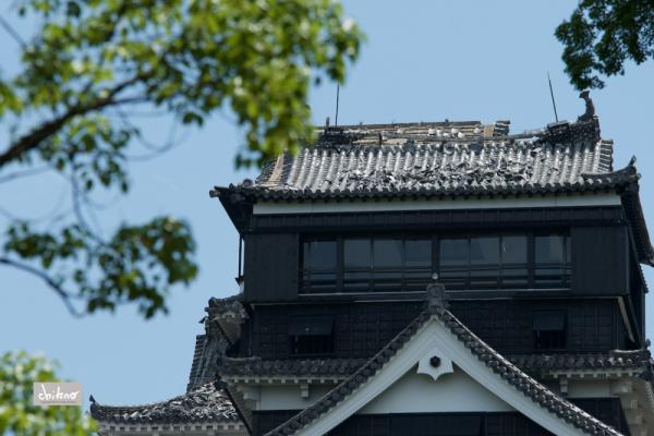 ファイル名: 800_2710.jpg
ファイルサイズ: 463.9KB
→クリックで元のサイズを表示 800_2710