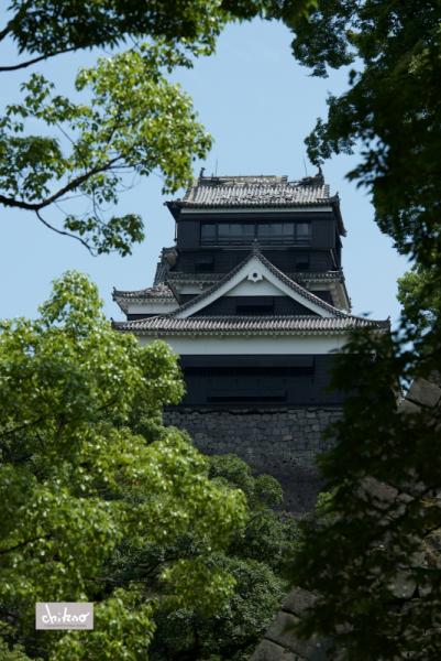 ファイル名: 800_2711.jpg
ファイルサイズ: 600.6KB
→クリックで元のサイズを表示 800_2711