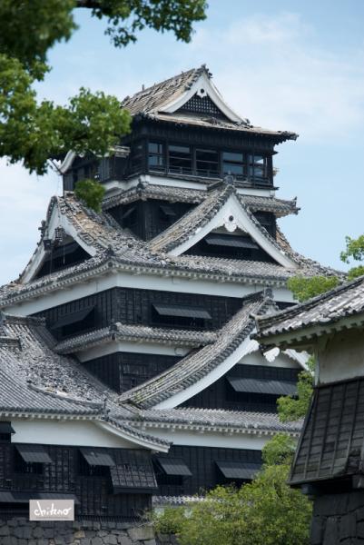 ファイル名: 800_2748.jpg
ファイルサイズ: 547.3KB
→クリックで元のサイズを表示 800_2748
