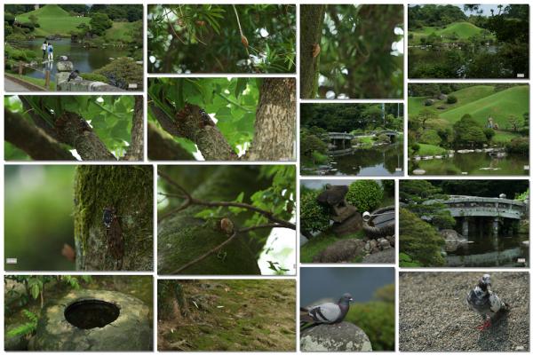 ファイル名: suizenji1.jpg
ファイルサイズ: 1.02MB
→クリックで元のサイズを表示 suizenji1