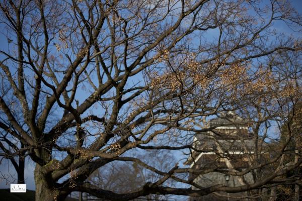 ファイル名: DFD_1045.jpg
ファイルサイズ: 387.2KB
→クリックで元のサイズを表示 DFD_1045