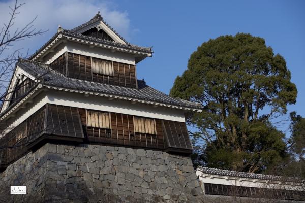 ファイル名: DFD_1127.jpg
ファイルサイズ: 308.4KB
→クリックで元のサイズを表示 DFD_1127
