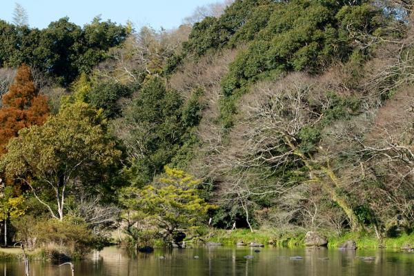 ファイル名: 500_5401.jpg
ファイルサイズ: 1.41MB
→クリックで元のサイズを表示 500_5401