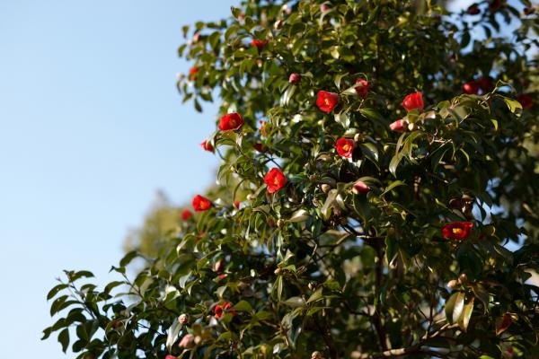 ファイル名: 800_4153.jpg
ファイルサイズ: 955.3KB
→クリックで元のサイズを表示 800_4153
