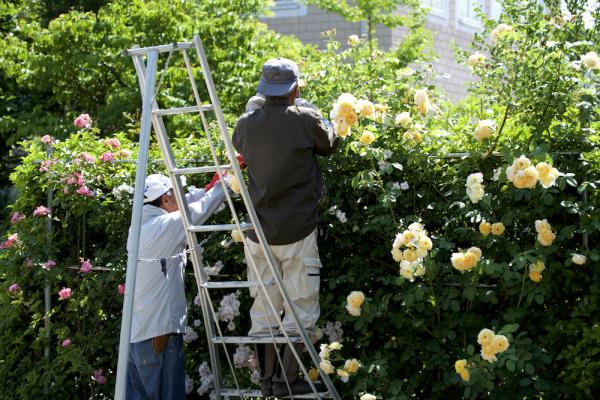 ファイル名: DFD_4373.jpg
ファイルサイズ: 1.26MB
→クリックで元のサイズを表示 DFD_4373