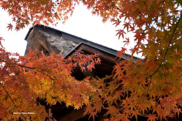 ファイル名: DFD_5657.jpg
ファイルサイズ: 321.9KB
→クリックで元のサイズを表示 DFD_5657