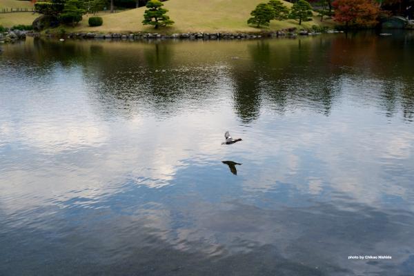 ファイル名: DFD_5789.jpg
ファイルサイズ: 233.3KB
→クリックで元のサイズを表示 DFD_5789