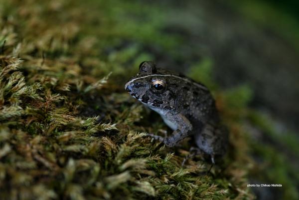 ファイル名: 1.jpg
ファイルサイズ: 659.4KB
→クリックで元のサイズを表示 1