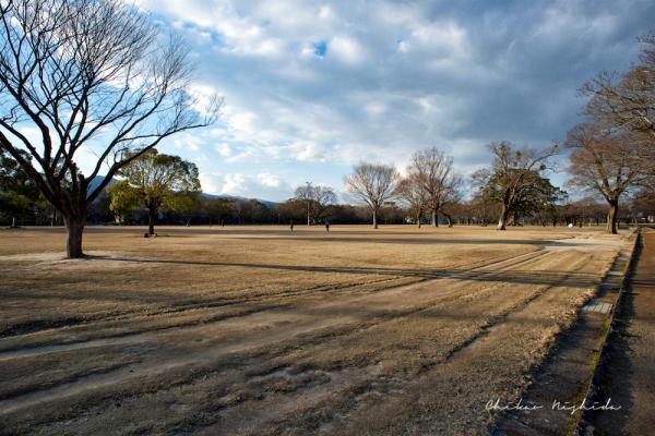 ファイル名: DF1_2526.jpg
ファイルサイズ: 1.23MB
→クリックで元のサイズを表示 DF1_2526