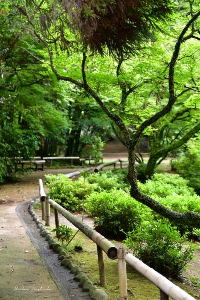 ファイル名: 850_1971.jpg
ファイルサイズ: 733KB
→クリックで元のサイズを表示 850_1971
