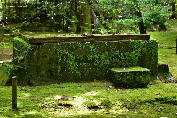 ファイル名: 850_1981.jpg
ファイルサイズ: 423KB
→クリックで元のサイズを表示 850_1981