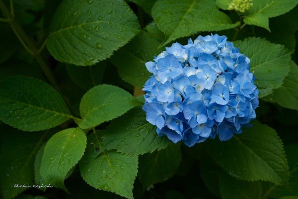 ファイル名: 800_0376.jpg
ファイルサイズ: 176.6KB
→クリックで元のサイズを表示 800_0376