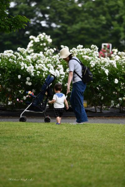 ファイル名: 850_1175.jpg
ファイルサイズ: 466.1KB
→クリックで元のサイズを表示 850_1175