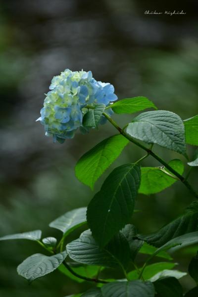 ファイル名: 850_2202.jpg
ファイルサイズ: 328.9KB
→クリックで元のサイズを表示 850_2202
