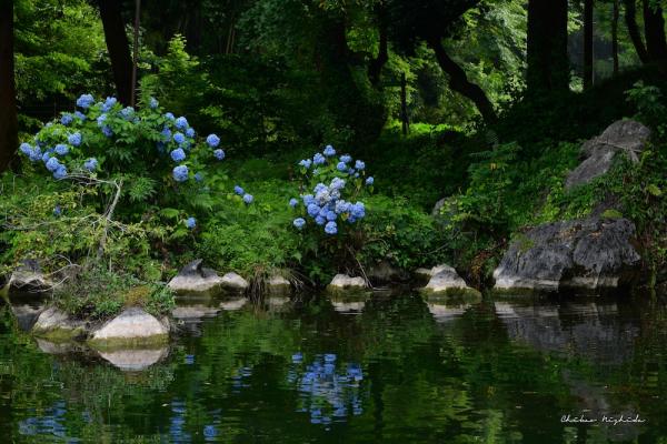 ファイル名: 850_3918.jpg
ファイルサイズ: 370.8KB
→クリックで元のサイズを表示 850_3918