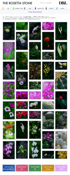 ファイル名: TROPICAL-3.jpg
ファイルサイズ: 365.2KB
→クリックで元のサイズを表示 TROPICAL-3