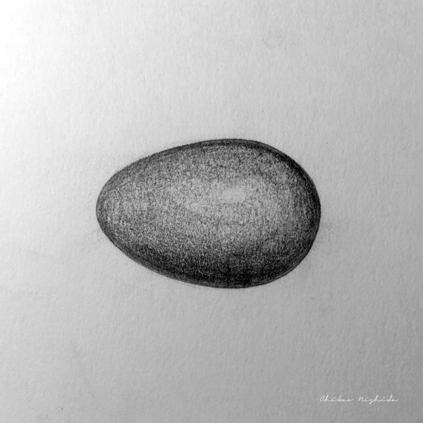 ファイル名: egg.jpeg
ファイルサイズ: 277.7KB
→クリックで元のサイズを表示 egg