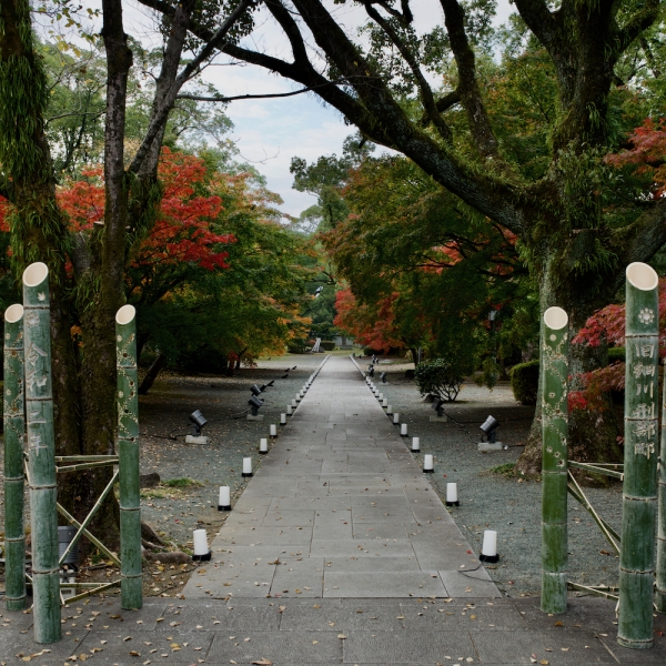 ファイル名: D85_1752.jpeg
ファイルサイズ: 1.93MB
→クリックで元のサイズを表示 D85_1752