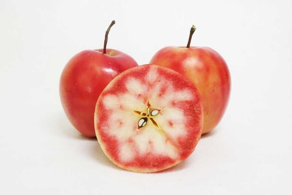 RED-APPLE-3