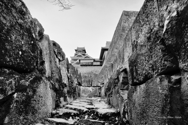 ファイル名: kumamoto-c-003.jpeg
ファイルサイズ: 631.6KB
→クリックで元のサイズを表示 kumamoto-c-003