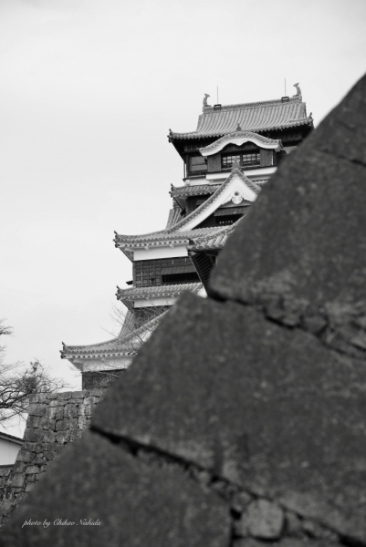 ファイル名: kumamoto-c-011.jpeg
ファイルサイズ: 298.6KB
→クリックで元のサイズを表示 kumamoto-c-011