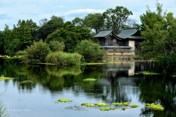 ファイル名: ukishima-shrine-001.jpeg
ファイルサイズ: 1.18MB
→クリックで元のサイズを表示 ukishima-shrine-001