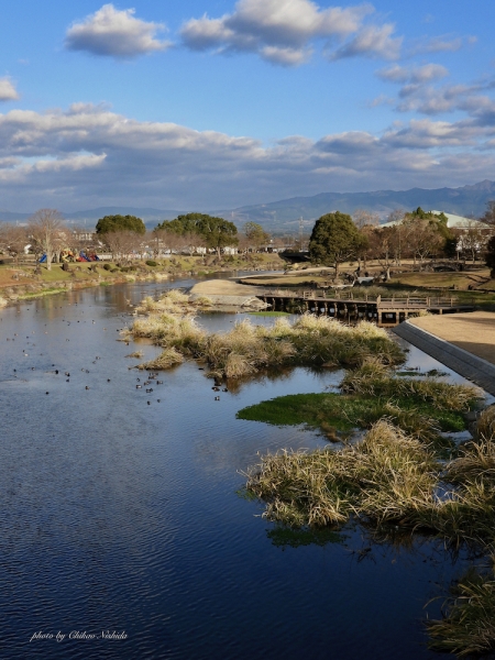 kamogawa-kahan-002