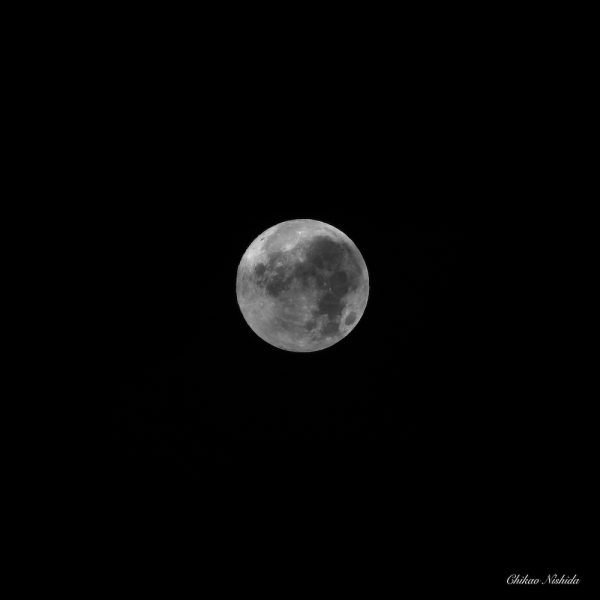 ファイル名: lastmoon-2021-001.jpeg
ファイルサイズ: 125.2KB
→クリックで元のサイズを表示 lastmoon-2021-001