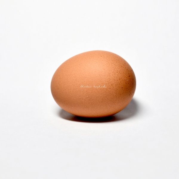 egg20230212-2
