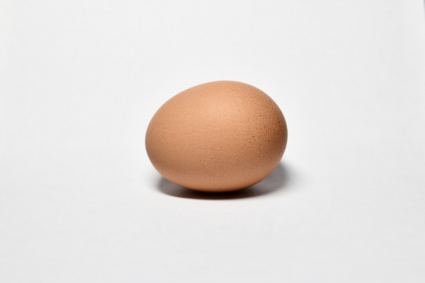 egg2023-2