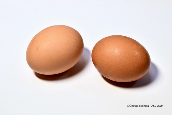 ファイル名: 20240418egg-1.jpeg
ファイルサイズ: 87KB
→クリックで元のサイズを表示 20240418egg-1