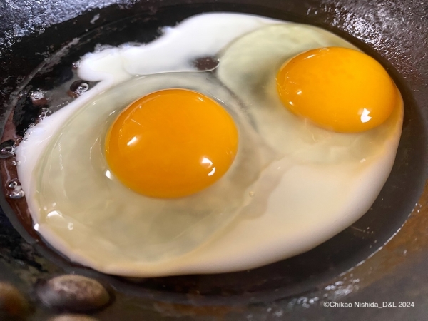 ファイル名: 20240418egg-3.jpeg
ファイルサイズ: 196.4KB
→クリックで元のサイズを表示 20240418egg-3