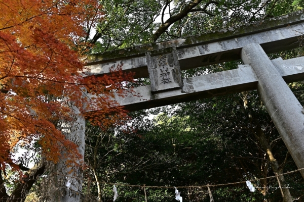 ファイル名: 20251216kinpouzan-8.jpeg
ファイルサイズ: 839.2KB
→クリックで元のサイズを表示 20251216kinpouzan-8