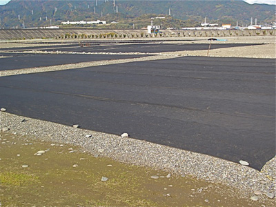 富士川河川敷
