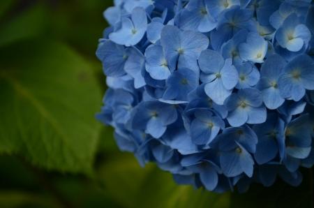 ファイル名: DSC_2576.jpg
ファイルサイズ: 73.3KB
→クリックで元のサイズを表示 DSC_2576