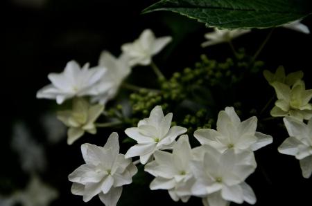 ファイル名: DSC_2666.jpg
ファイルサイズ: 70.4KB
→クリックで元のサイズを表示 DSC_2666