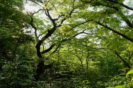ファイル名: DSC_2815.jpg
ファイルサイズ: 320.4KB
→クリックで元のサイズを表示 DSC_2815