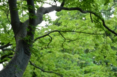 ファイル名: DSC_2827.jpg
ファイルサイズ: 150.6KB
→クリックで元のサイズを表示 DSC_2827