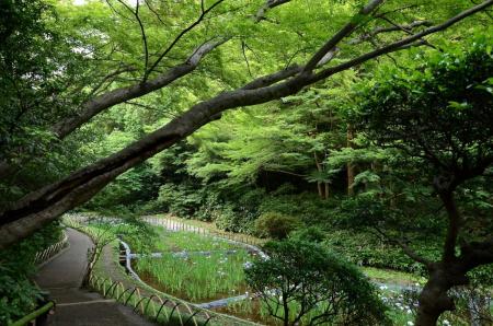 ファイル名: DSC_3096.jpg
ファイルサイズ: 274.1KB
→クリックで元のサイズを表示 DSC_3096