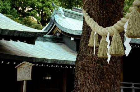 ファイル名: DSC_3172.jpg
ファイルサイズ: 153.1KB
→クリックで元のサイズを表示 DSC_3172
