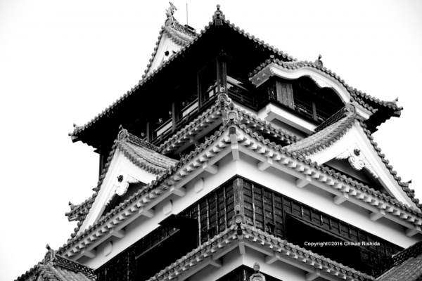 ファイル名: 1.jpg
ファイルサイズ: 348.2KB
→クリックで元のサイズを表示 1