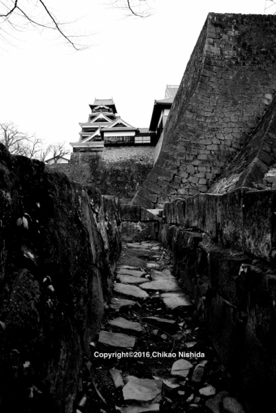 ファイル名: KUMAMOTOCASTLE.jpg
ファイルサイズ: 439KB
→クリックで元のサイズを表示 KUMAMOTOCASTLE