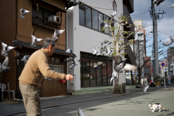 ファイル名: DF1_1366.jpg
ファイルサイズ: 449KB
→クリックで元のサイズを表示 DF1_1366
