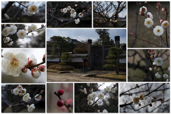 ファイル名: hosokawa.jpg
ファイルサイズ: 475.4KB
→クリックで元のサイズを表示 hosokawa