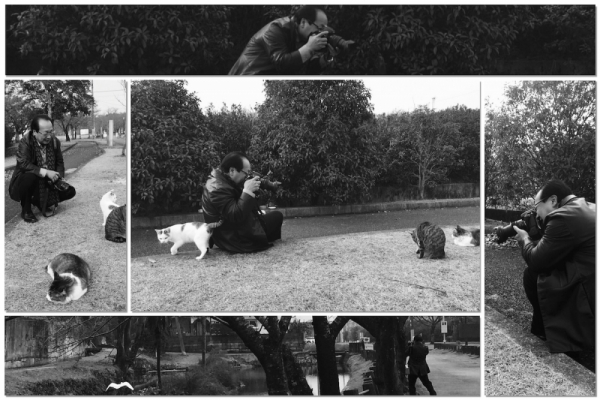 ファイル名: cats.jpg
ファイルサイズ: 478.3KB
→クリックで元のサイズを表示 cats