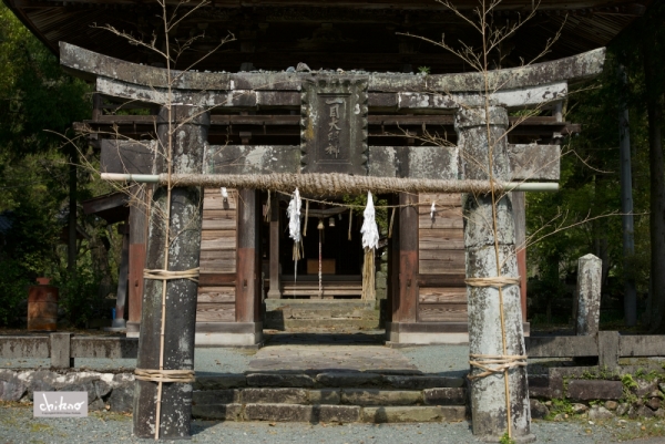 ファイル名: 800_9485.jpg
ファイルサイズ: 637.2KB
→クリックで元のサイズを表示 800_9485