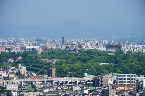 ファイル名: 800_2080.jpg
ファイルサイズ: 578KB
→クリックで元のサイズを表示 800_2080