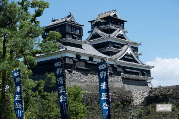 ファイル名: 800_3360.jpg
ファイルサイズ: 643.5KB
→クリックで元のサイズを表示 800_3360