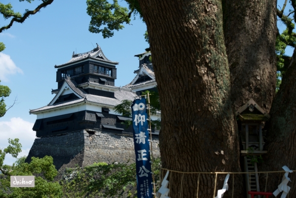 ファイル名: 800_3391.jpg
ファイルサイズ: 563.9KB
→クリックで元のサイズを表示 800_3391