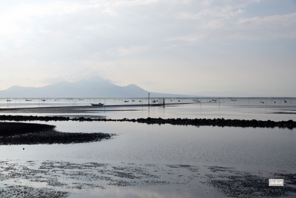 ファイル名: D60_7906-.jpg
ファイルサイズ: 664.8KB
→クリックで元のサイズを表示 D60_7906-